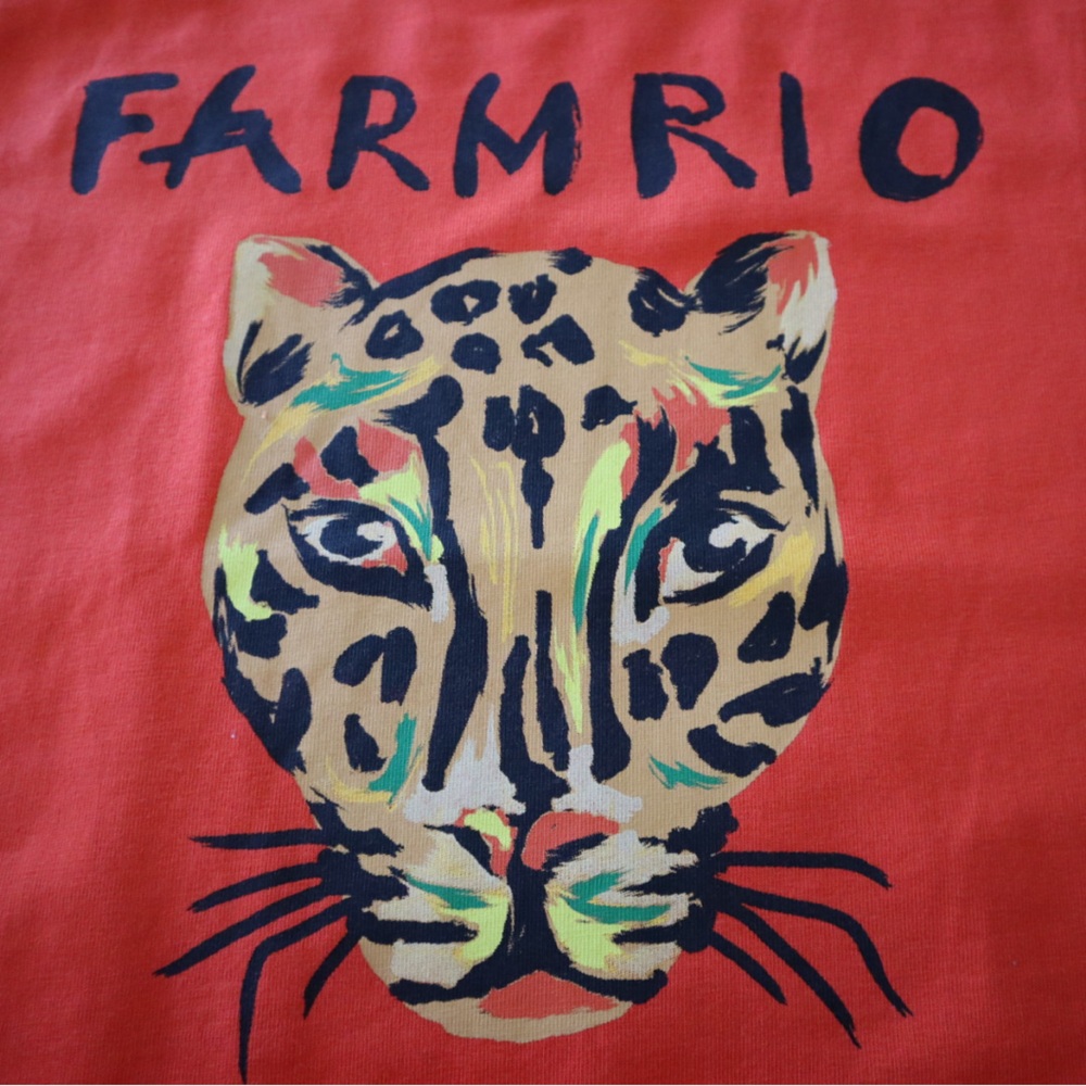 Anthropologie Farm for Anthropologie orange Leopard Fringe maxi dress FARMRIO - Picture 3 of 10